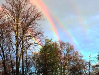 QUADRUPLE Rainbow