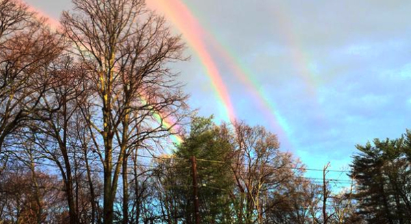 QUADRUPLE Rainbow