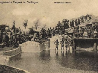 Human Zoos