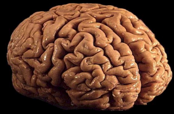 Screen Shot 2015-04-27 at 12.14.09 AM