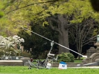 gyrocopter on the west lawn