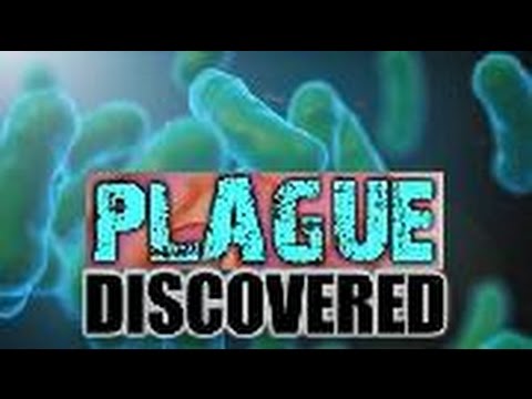 The Plague