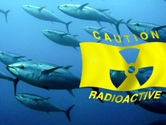 Media And Experts Tell Us That Fukushima Radiation Is Fine For Swimming In!