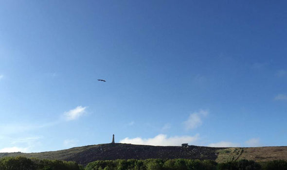 Cornwall_Blackened slopes Carn-Brea-fire