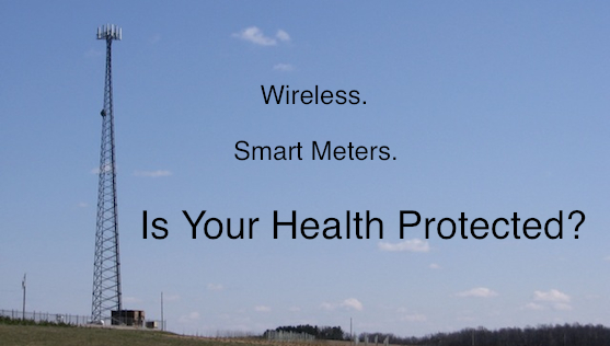 EMF & Wireless Technology - Emerging Public Health Crisis