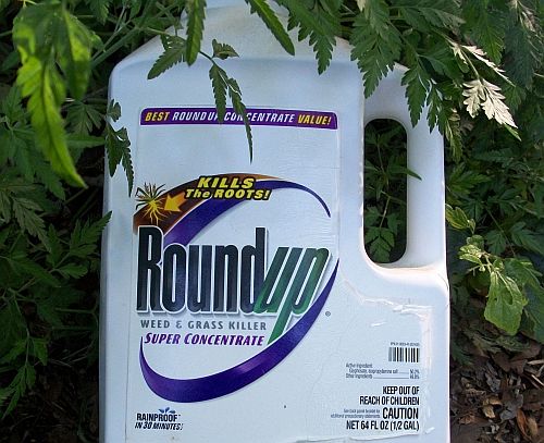 Retail Giant In Germany To Removes Glyphosate From 350 Stores