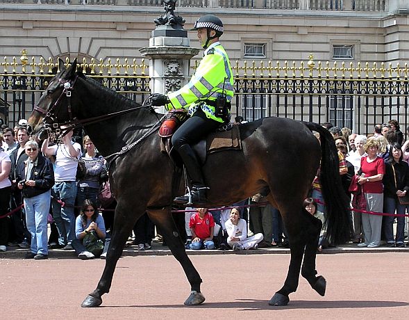 UK Police