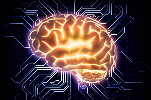 Scientists Create Cells Replicating Human Brain Processes