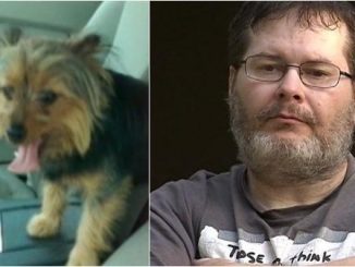 Army Veteran Saves Distressed Dog And Gets Arrested