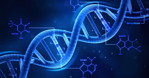 DNA