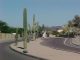 Arizona Town Installs License Plate Scanning Cameras In Fake Cactuses