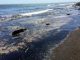 Oil Pipeline Spills 21 Thousand Gallons Off California Coast