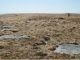 First Stone Circle In More Than A Century Discovered On Dartmoor