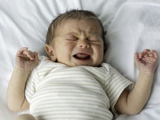 Portuguese Municipality