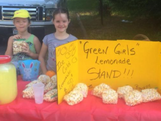 lemonade stand