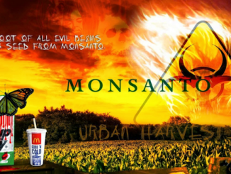 Monsanto