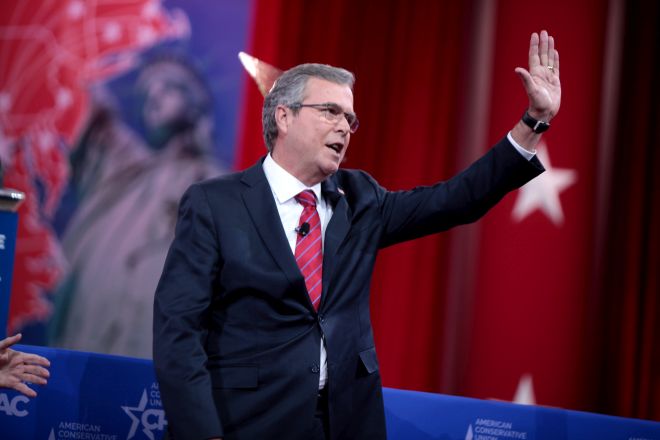 jeb bush