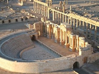 palmyra