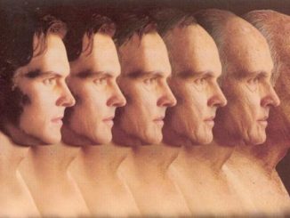 humans age