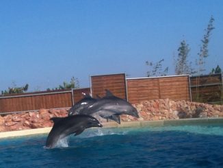 Athens zoo