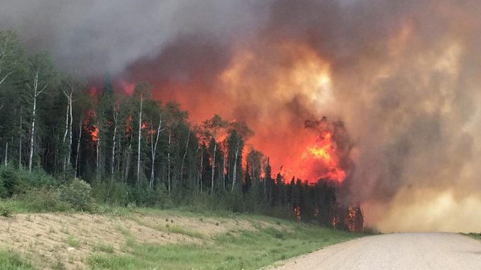 Canadian wildfires