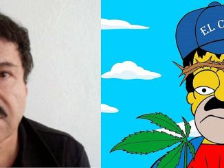 drugs war