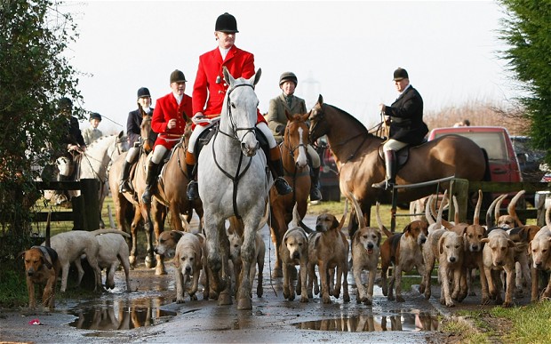 foxhunting