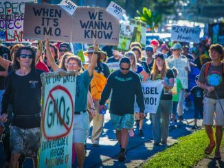 GMO-labeling
