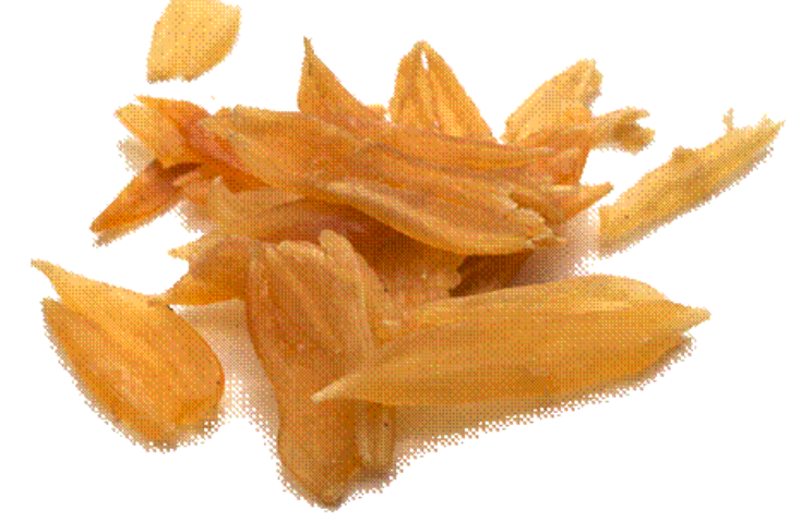 Herbs that alter your consciousness