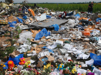 MH17