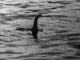 Loch Ness Monster