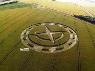 crop circle