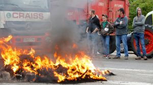 French Farmers Protest Low Meat & Dairy Prices 