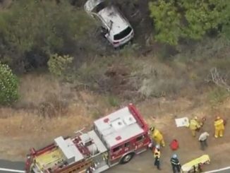 woman's car fell off a cliff