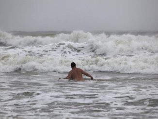 seventh shark attack