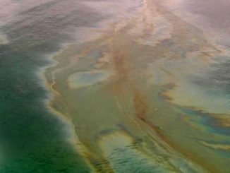 oil slick california