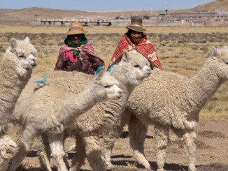 Peru