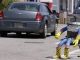 hitchhiking robot