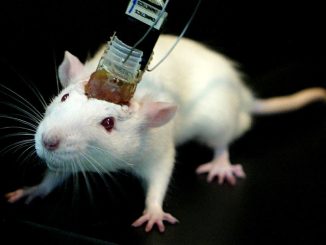 remote-controlled mice