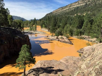 Animas River