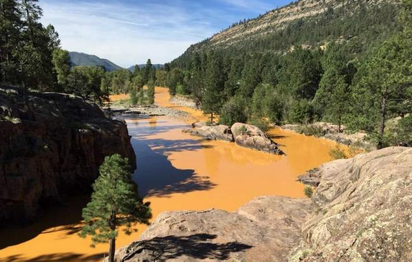 Animas River