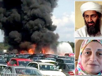 Bin Laden