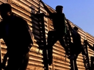illegal immigrants