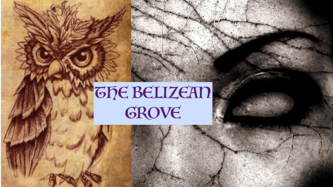 Belizean Grove