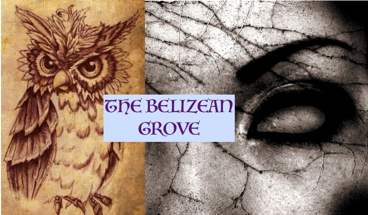 Belizean Grove
