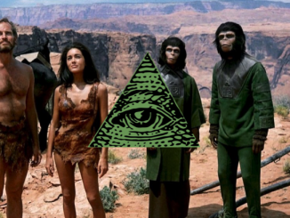 apes