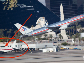 government airline