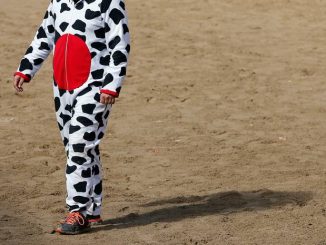 Cow onesie