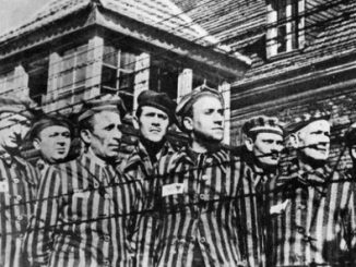 Study finds that holocaust survivors pass on the trauma to their children via their genes