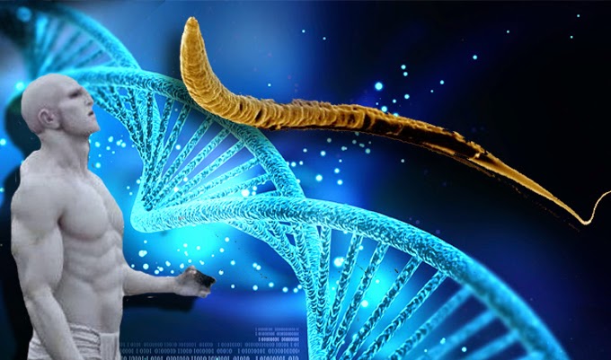 Did human beings come from outer space?